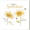 Be My Sunshine C by Cynthia Coulter 14" x 14" Canvas Wall Art (Set of 2)